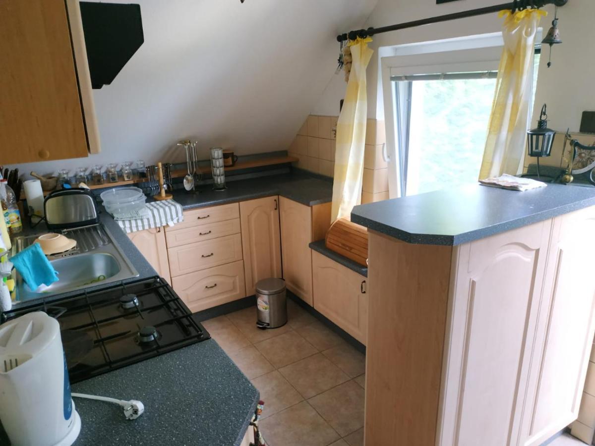 Na Sumave Holiday home